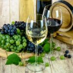 Víno - vznik a historie vína